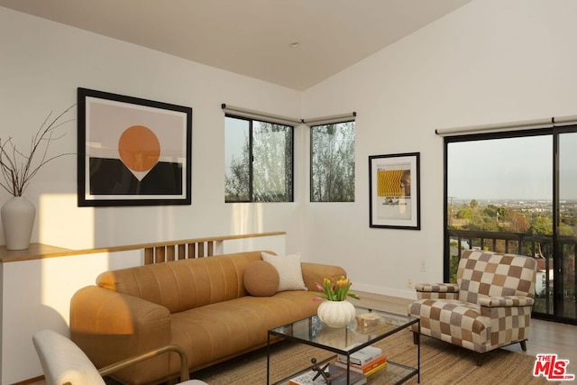 living room featuring lofted ceiling, hardwood / wood-style flooring, and a healthy amount of sunlight