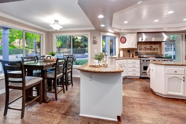 kitchen featuring white cabinetry, high end range, decorative backsplash, crown molding, and wall chimney exhaust hood