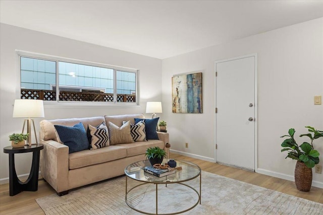 living room with light hardwood / wood-style flooring