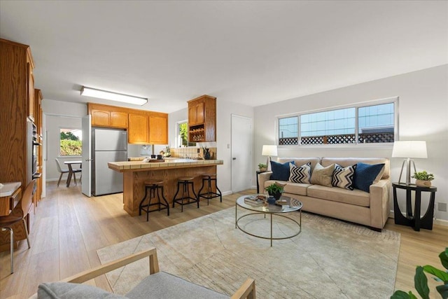 living room featuring light hardwood / wood-style flooring