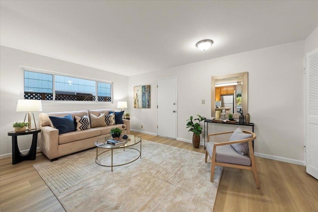 living room featuring light hardwood / wood-style floors