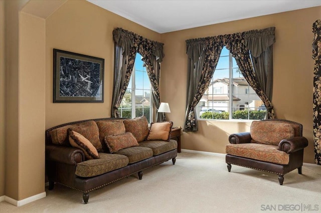 living area featuring carpet floors