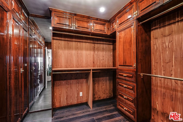 walk in closet featuring dark hardwood / wood-style flooring