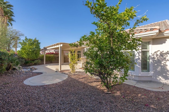 view of yard featuring a patio area and a pergola