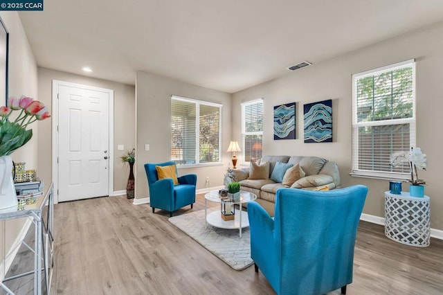 living room with light hardwood / wood-style floors and a wealth of natural light