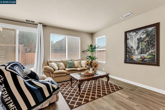 living room with wood-type flooring