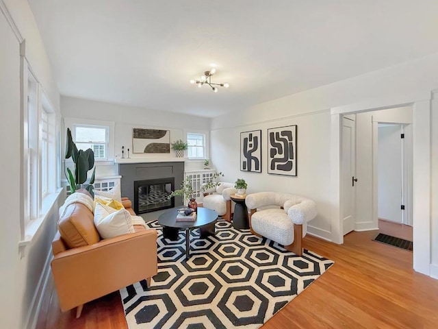 living room featuring wood-type flooring