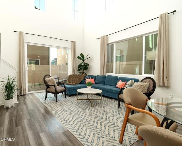 living room featuring hardwood / wood-style floors and a high ceiling