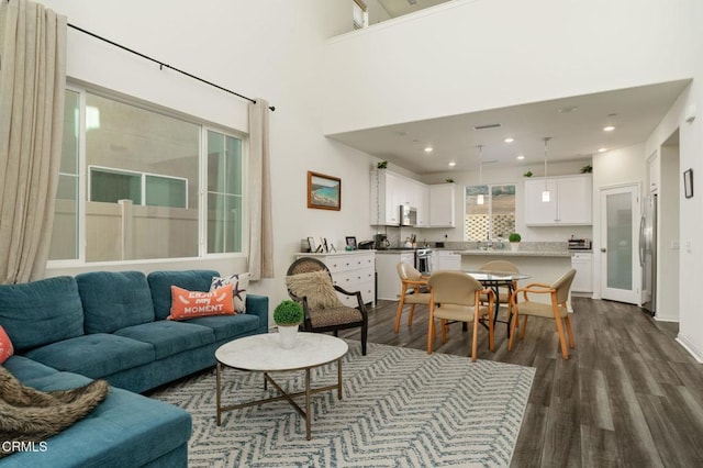 living room featuring dark wood-type flooring and a towering ceiling