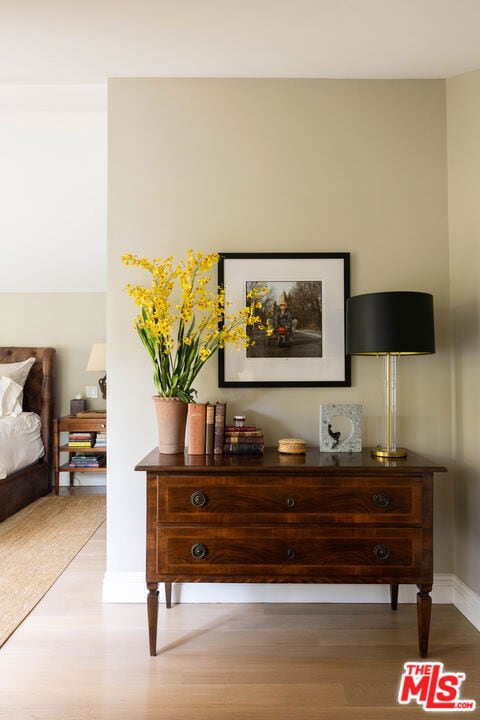 room details with hardwood / wood-style floors