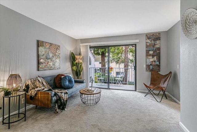 sitting room with carpet