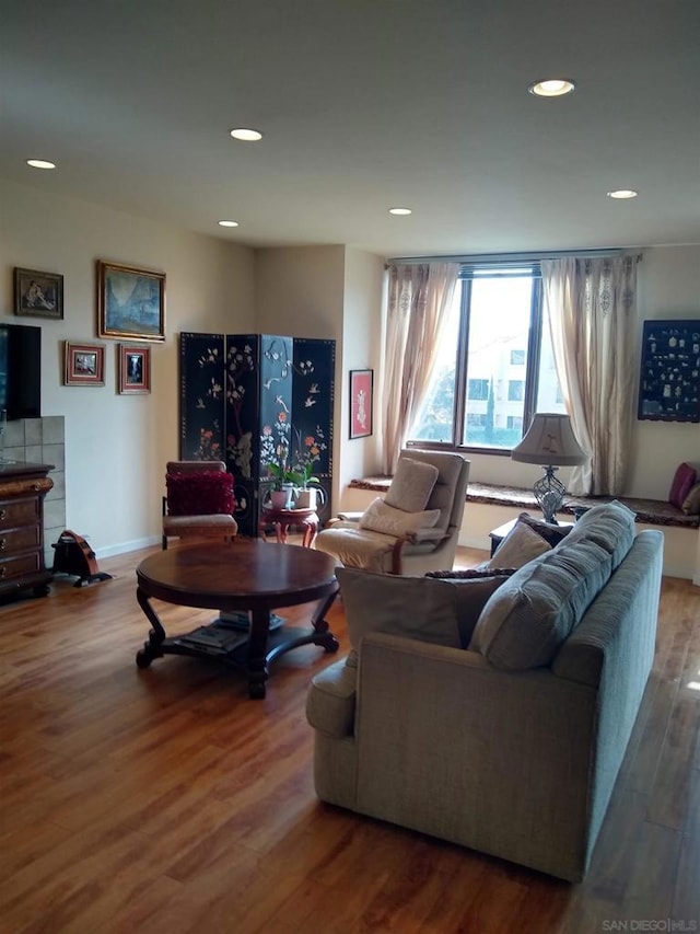 living room featuring hardwood / wood-style floors