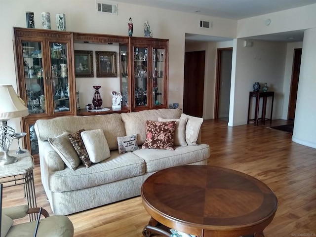 living room featuring wood-type flooring