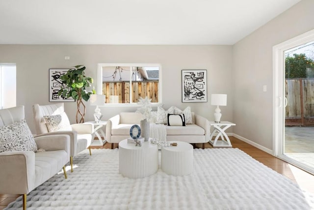 living room featuring light hardwood / wood-style flooring