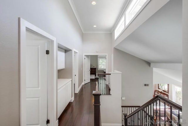 corridor with crown molding, a healthy amount of sunlight, dark hardwood / wood-style flooring, and a high ceiling