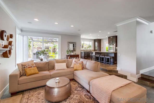 living room with ornamental molding