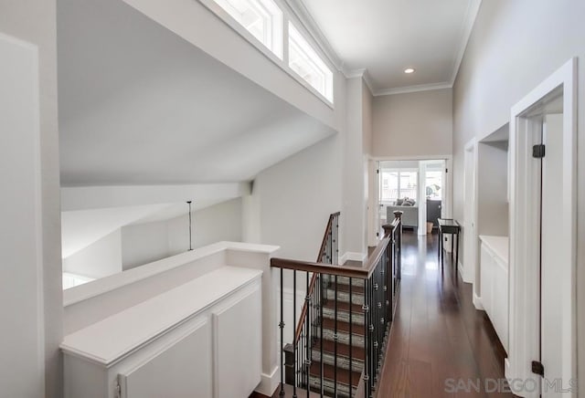 corridor with ornamental molding and dark hardwood / wood-style flooring