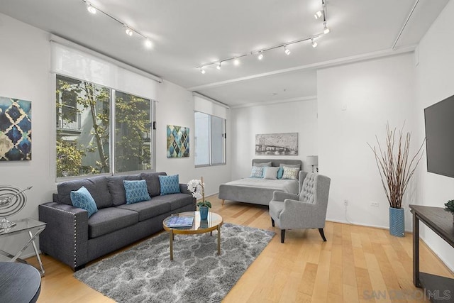 living room featuring wood-type flooring and rail lighting