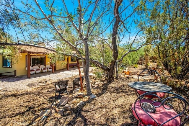 view of yard with a patio area