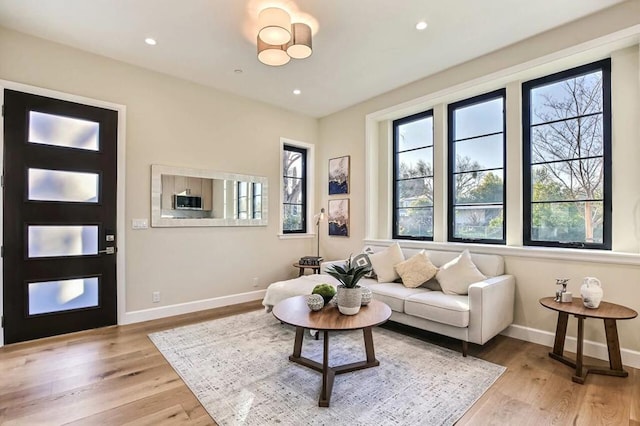 living room featuring light hardwood / wood-style flooring