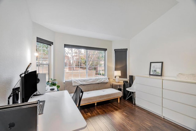 interior space featuring dark hardwood / wood-style floors