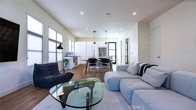 living room featuring wood-type flooring