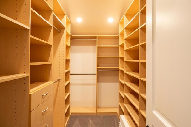 walk in closet with carpet floors