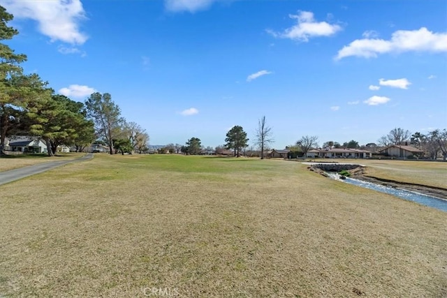 view of community with a lawn