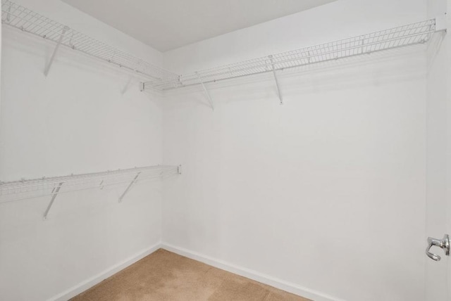 spacious closet with carpet flooring