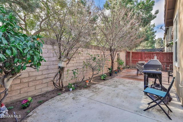 view of patio / terrace featuring grilling area