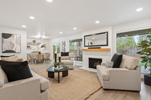 living room featuring light hardwood / wood-style flooring