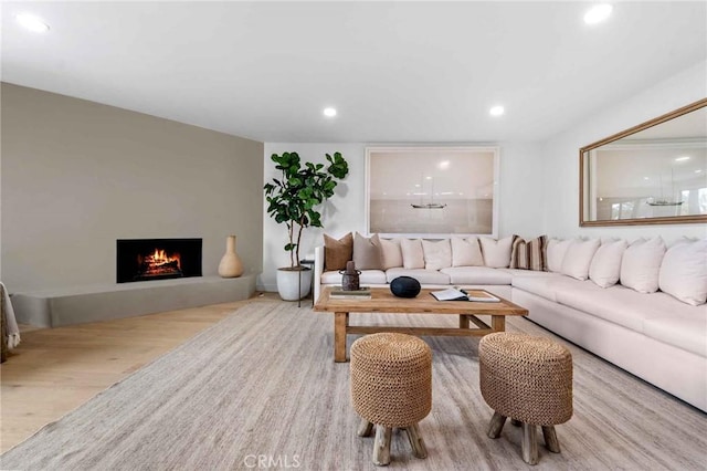 living room featuring light hardwood / wood-style flooring