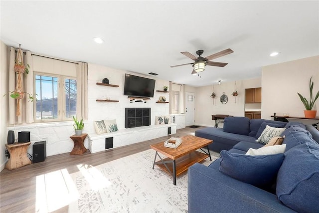 living room featuring ceiling fan and light hardwood / wood-style flooring