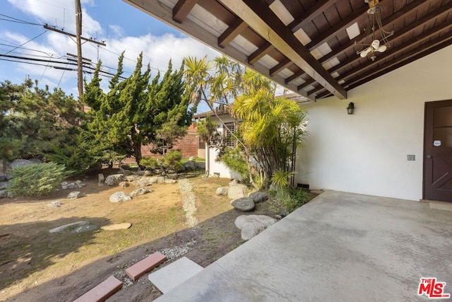 view of yard featuring a patio area