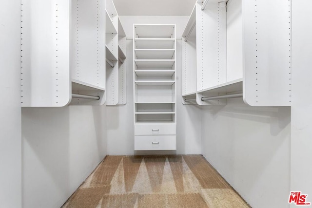 spacious closet featuring light carpet