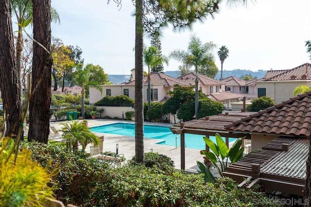 view of swimming pool featuring a pergola and a patio