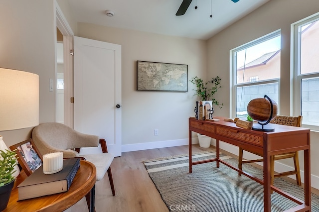 office space featuring ceiling fan and light hardwood / wood-style floors