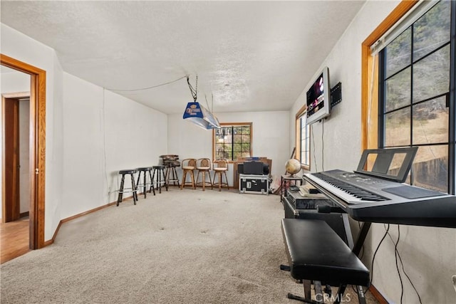 miscellaneous room with carpet floors