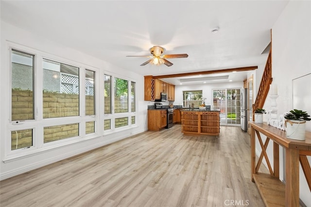 kitchen with ceiling fan, stainless steel appliances, light hardwood / wood-style floors, and a healthy amount of sunlight