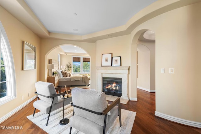 living room with a tray ceiling and dark wood-type flooring