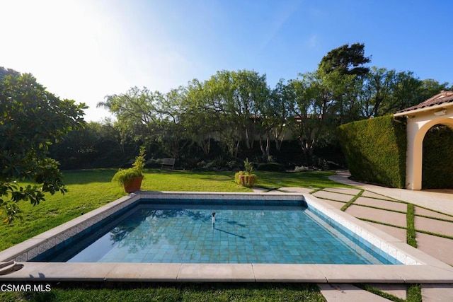 view of swimming pool with a lawn