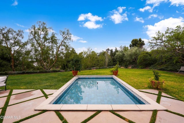 view of pool featuring a yard and a patio area