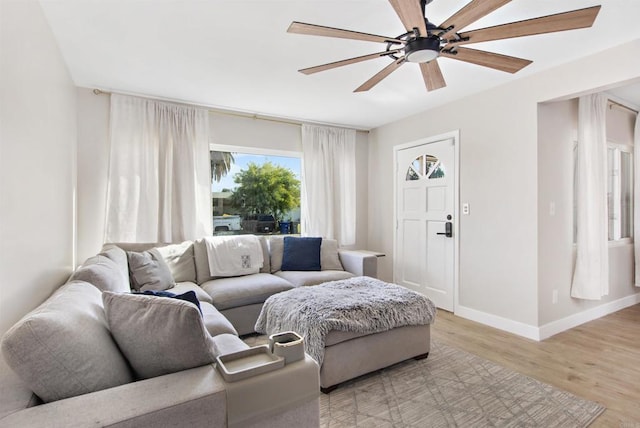 living room with ceiling fan and light wood-type flooring