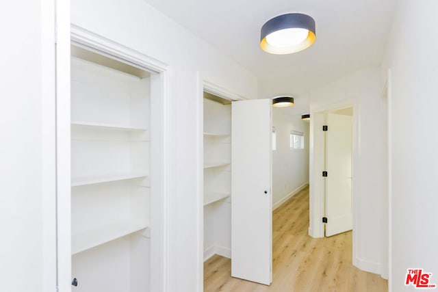 hallway featuring wood-type flooring