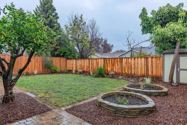 view of yard featuring a storage unit