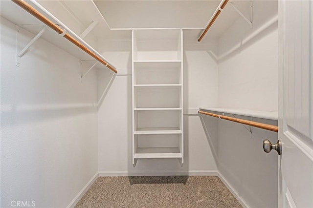 spacious closet with carpet floors