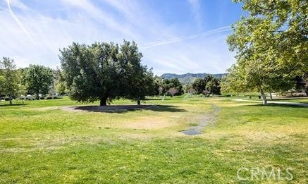 view of community featuring a yard