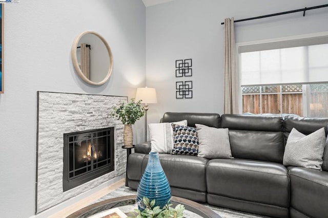 living room with a fireplace and hardwood / wood-style floors