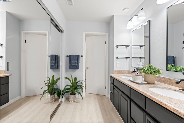 bathroom featuring hardwood / wood-style flooring and vanity