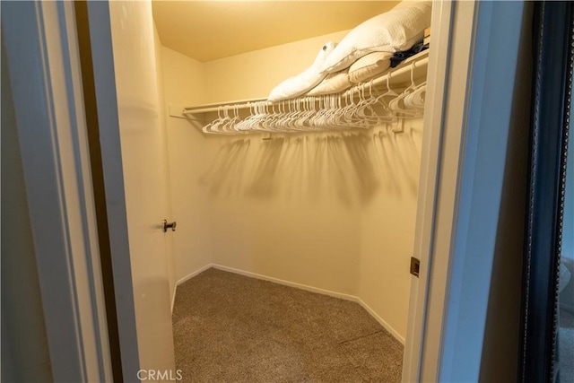 spacious closet with carpet